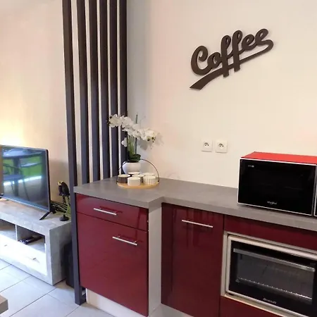 Apartamento - En Rez-de-chaussee Amenage Avec Elegance - Jardin Privatif